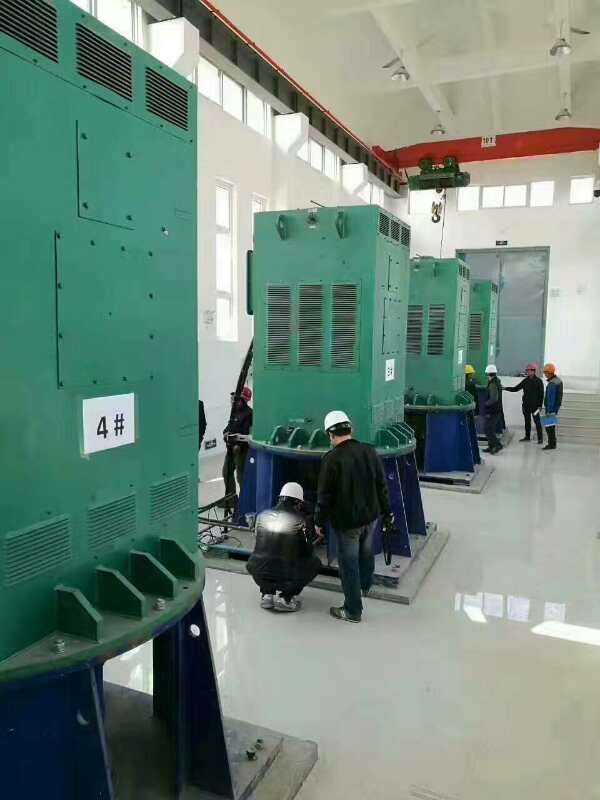 临川某污水处理厂使用我厂的立式高压电机安装现场一年质保