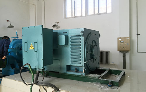 临川某水电站工程主水泵使用我公司高压电机